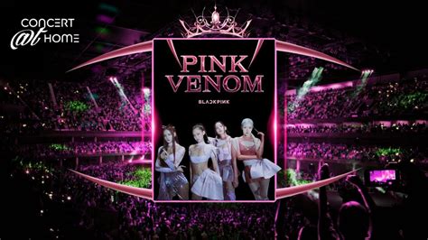 Pink Venom Concert: A Sensory Extravaganza Featuring the Enigmatic PSY!